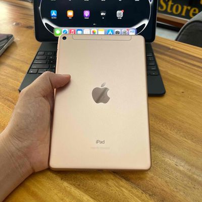iPad Mini 5 Wifi 5G 64Gb Likenew Gold Zin 100%
