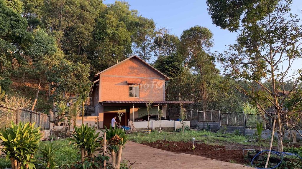 BÁN ĐẤT CĂN NHÀ VƯỜN XUÂN LẬP LONG KHÁNH 2ty3 823m