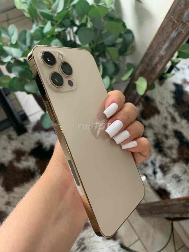 12 Pro Max 128GB Vàng Mỹ 5G 2 Sim Đọc Mô Tả. Mua bán Điện thoại tại Huyện Long Điền Bà Rịa - Vũng Tàu được đăng bởi Chanh DBCBL hình 1
