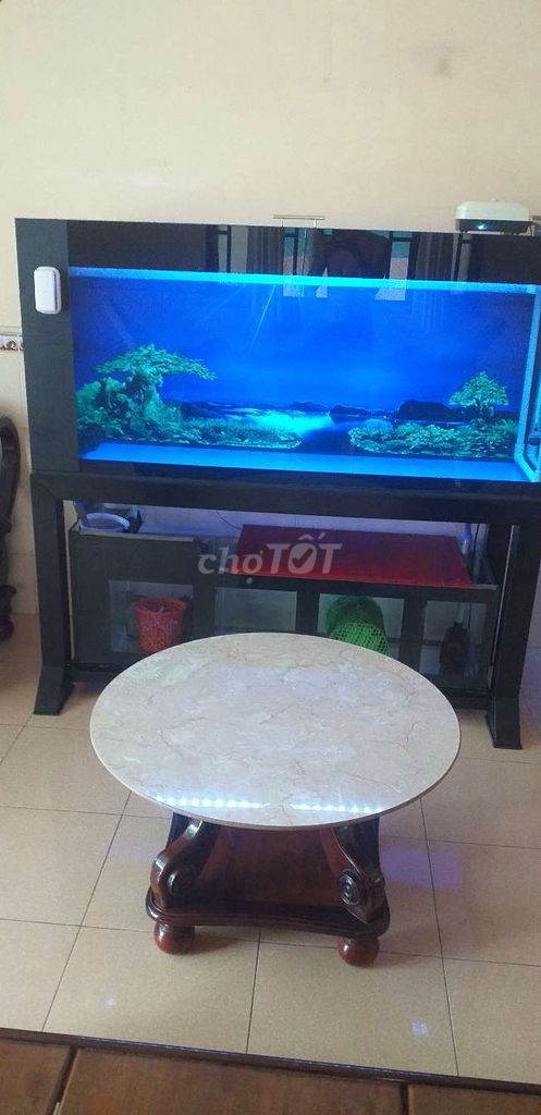 Bể cá cảnh kính 12li chân sắt 1m5. Mua bán Phụ kiện, Thức ăn, Dịch vụ tại Huyện Nhà Bè Tp Hồ Chí Minh được đăng bởi A hình 1