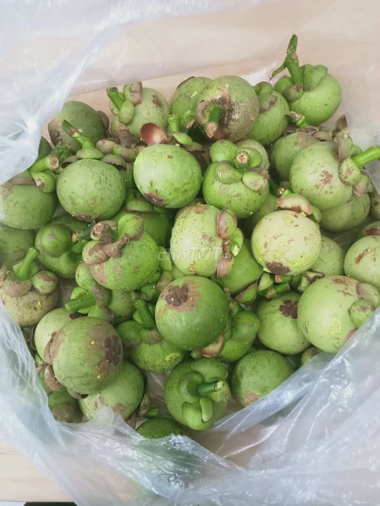 Măng cụt xanh tím. Mua bán Đồ ăn, thực phẩm và các loại khác tại Quận 8 Tp Hồ Chí Minh được đăng bởi Phuong Mai hình 1
