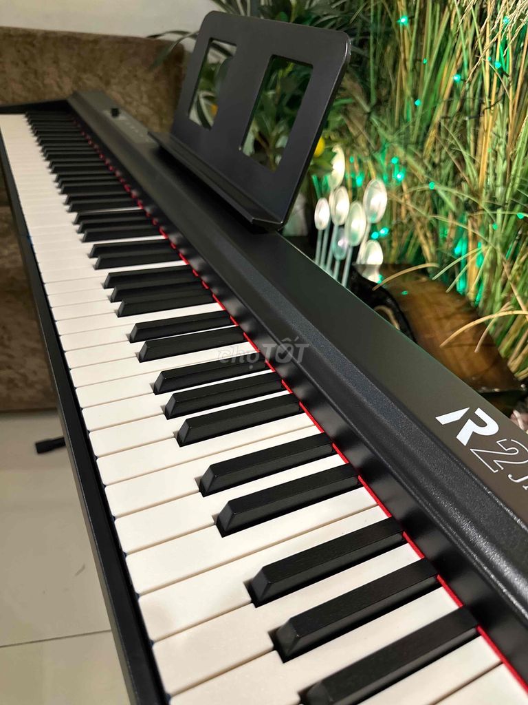 Piano Điện cao cấp