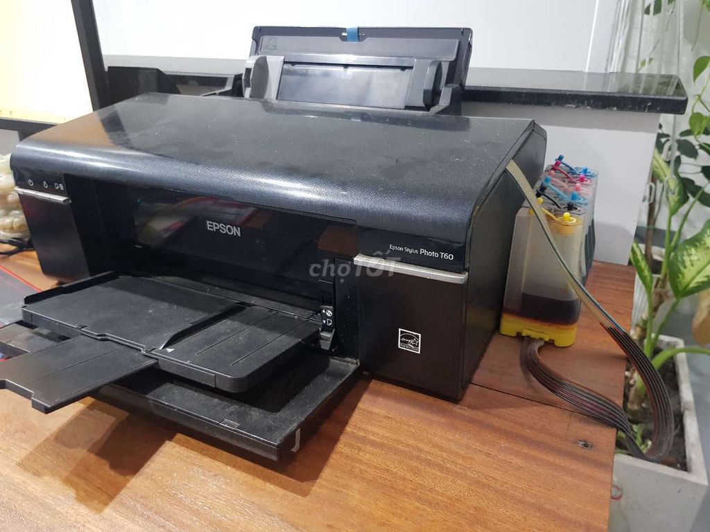 Epson T60.