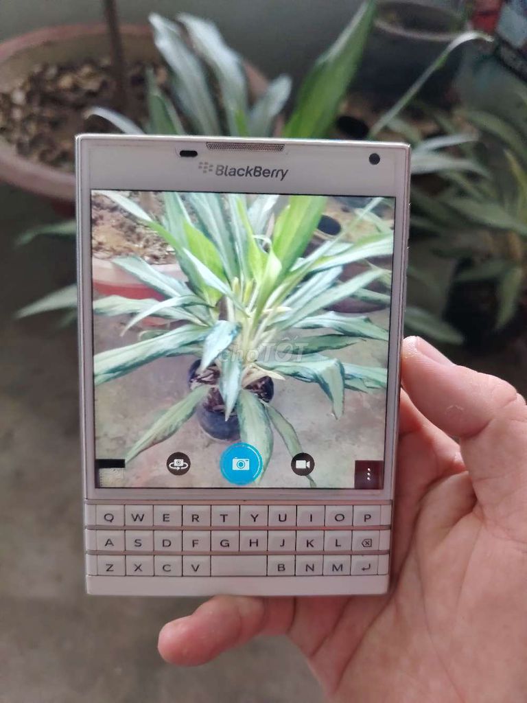 BlackBerry Passport Trắng. Mua bán Điện thoại tại Thành phố Thủ Đức Tp Hồ Chí Minh được đăng bởi Khoa Bule  hình 1