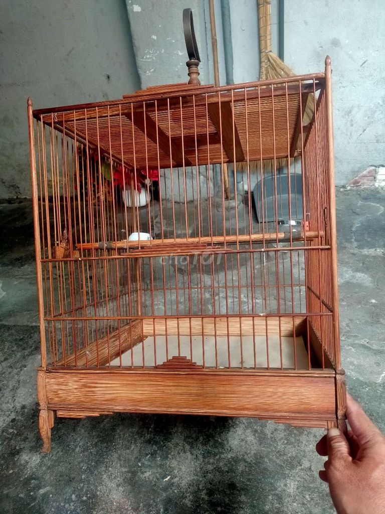 Cả bộ chào mào vuông đấu tre già hàng đặt 700k