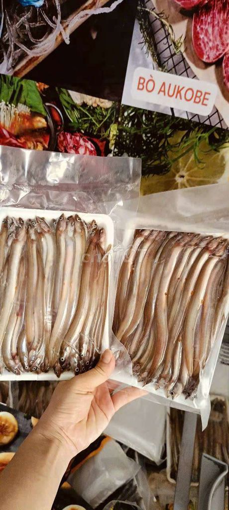 Cá sủn sỉn có trứng