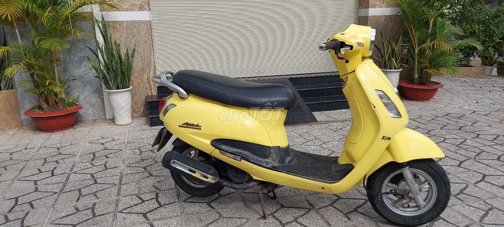 Alizabet  bs65 như mới. Mua bán Xe máy tại Quận Ninh Kiều Cần Thơ được đăng bởi phongkdc 91b  hình 4