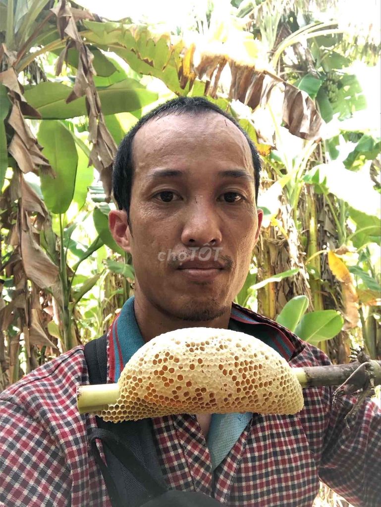 mật ong thiên nhiên. Mua bán Đồ ăn, thực phẩm và các loại khác tại Huyện Cờ Đỏ Cần Thơ được đăng bởi Hữu Thừa  hình 4