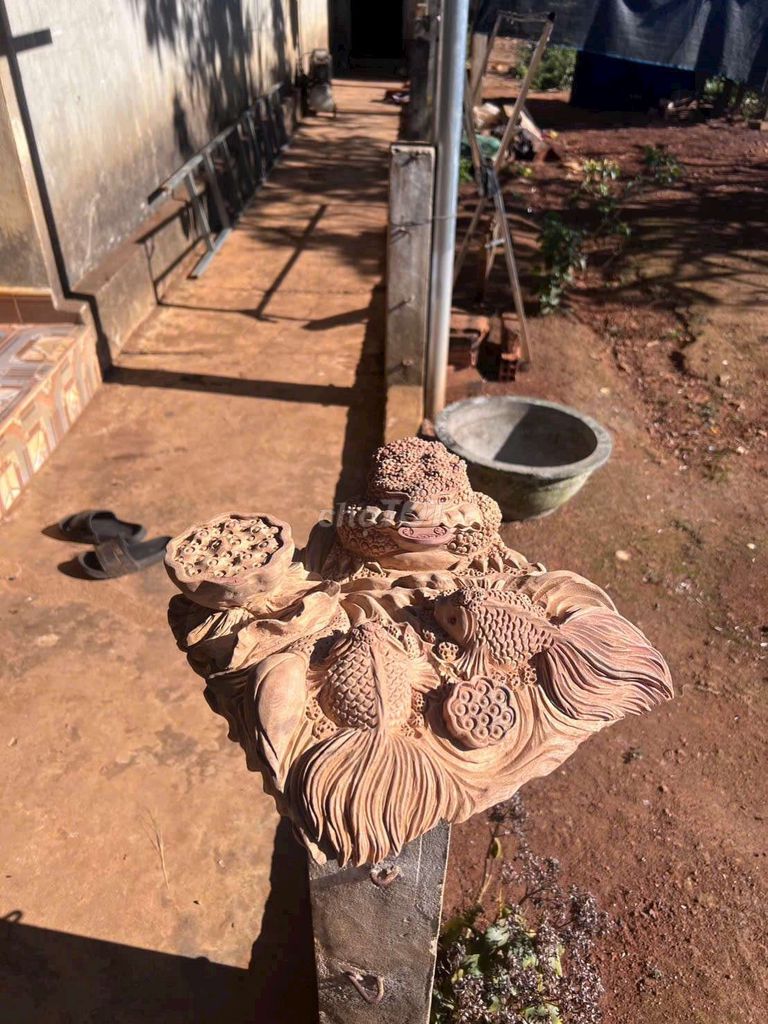 Đồ trang trí Gỗ thơm 30x30x11 cm. Mua bán Cây cảnh, đồ trang trí tại Quận Bắc Từ Liêm Hà Nội được đăng bởi Trương Minh Định hình 1