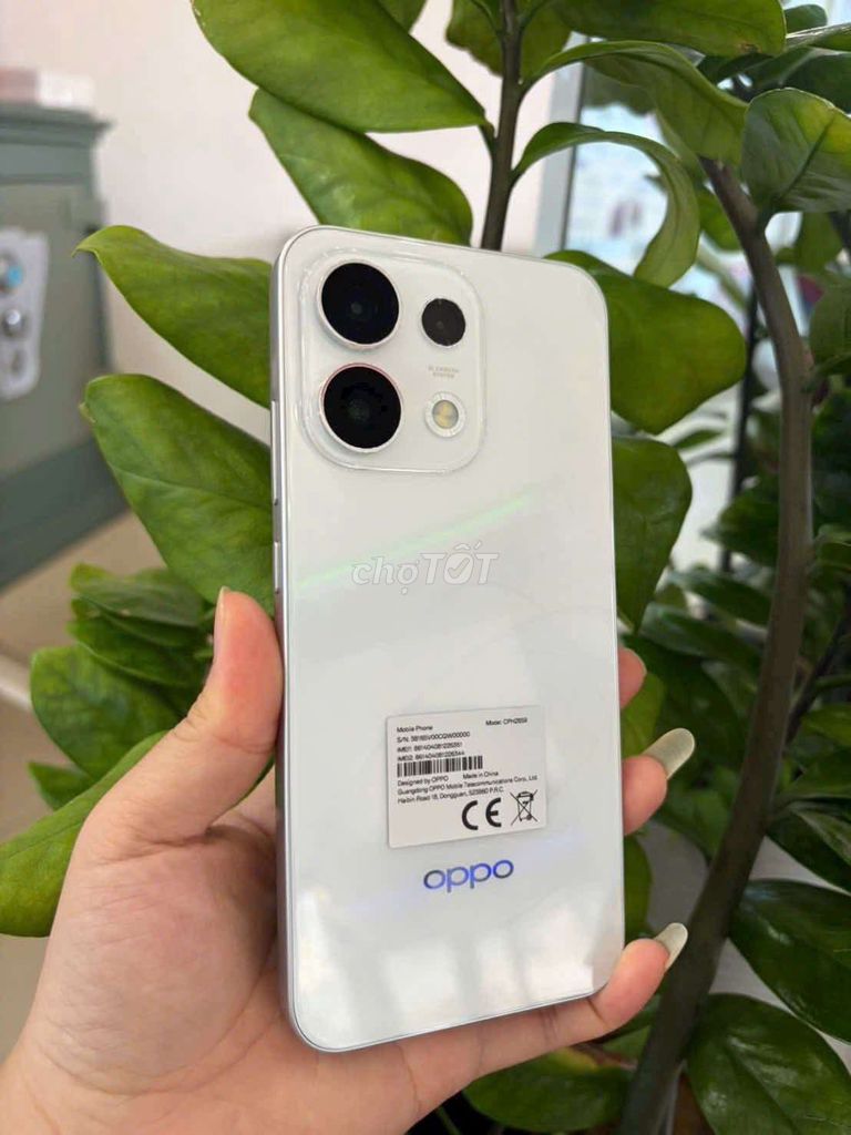 Oppo Reno 16F 8GB 256GB Trắng. Mua bán Điện thoại tại Quận Sơn Trà Đà Nẵng được đăng bởi Hà hình 1