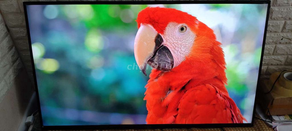 Tivi Sony 55 inch - 2019. Mua bán Tivi, Âm thanh tại Quận Hai Bà Trưng Hà Nội được đăng bởi Mr Hung hình 1