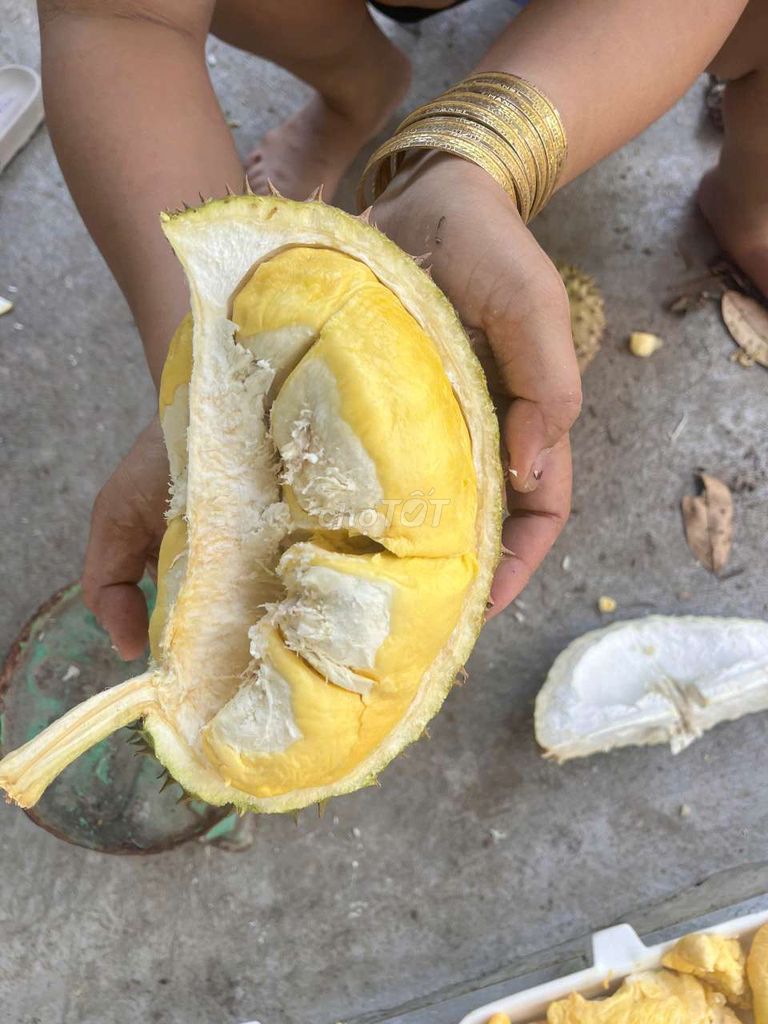 Sầu riêng Ri6. Mua bán Đồ ăn, thực phẩm và các loại khác tại Thành phố Thủ Đức Tp Hồ Chí Minh được đăng bởi Phiêu Linh  hình 1