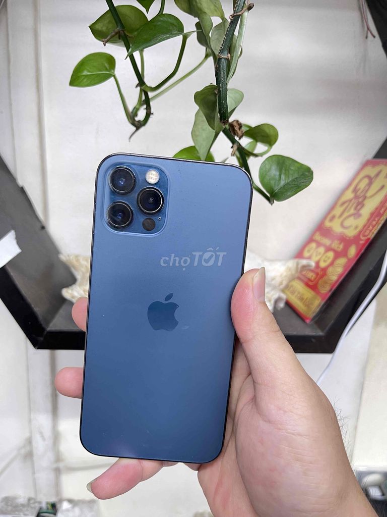 Apple iPhone 12 Pro 256GB Xanh 100% pin. Mua bán Điện thoại tại Quận Đống Đa Hà Nội được đăng bởi  Tuấn Apple  hình 1