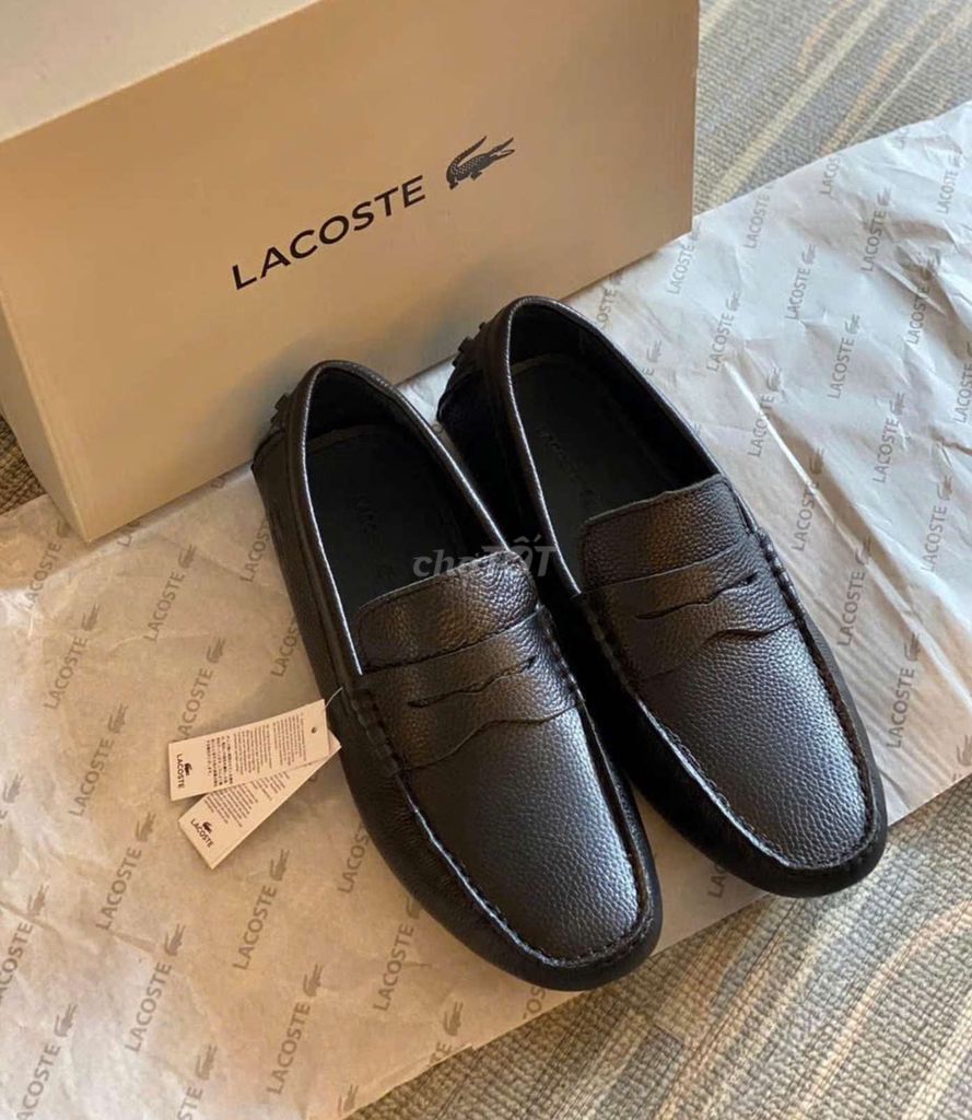 Lacoste fullbox