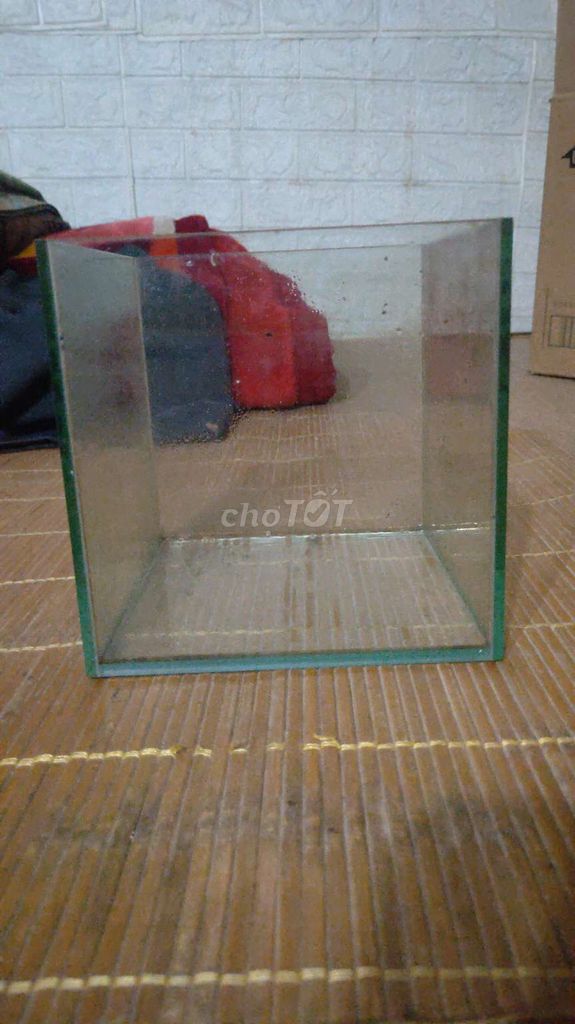 Bể cá cảnh Kính Nuôi cá Betta. Mua bán Phụ kiện, Thức ăn, Dịch vụ tại Quận Hoàng Mai Hà Nội được đăng bởi Nguyen Ngoc Duong hình 1