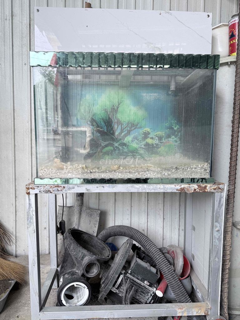 Hồ cá Kính 40x60x40 cm. Mua bán Phụ kiện, Thức ăn, Dịch vụ tại Thành phố Thuận An Bình Dương được đăng bởi Henry hình 1