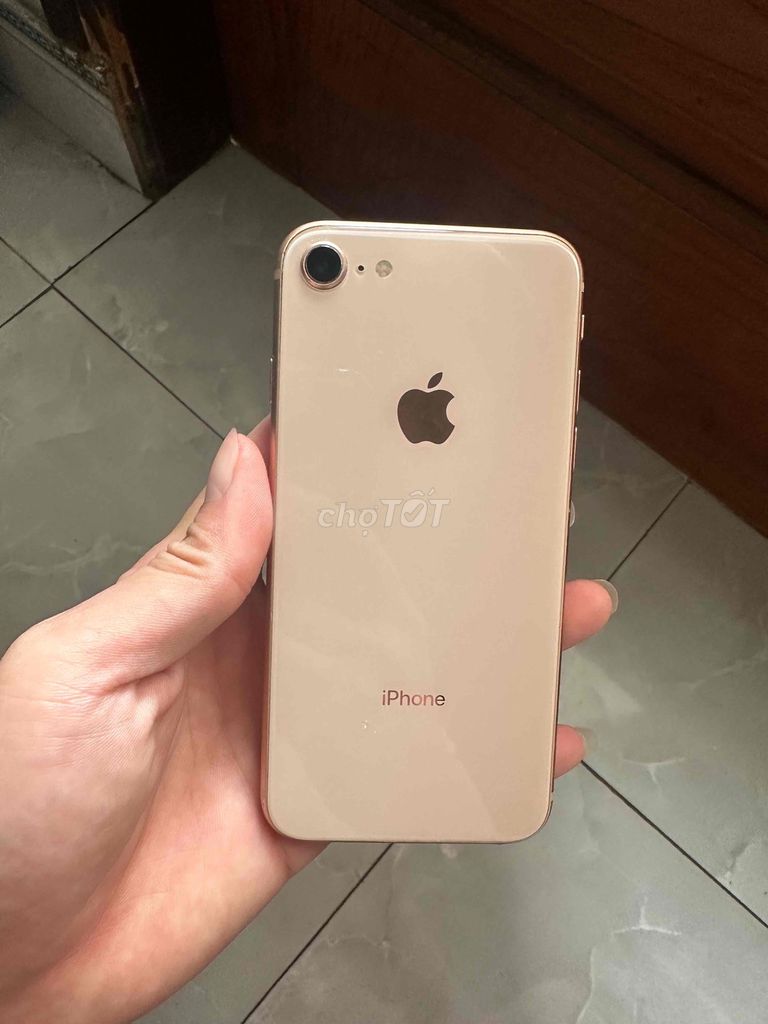 iPhone 8 64gb qt full cn. Mua bán Điện thoại tại Thị xã Từ Sơn Bắc Ninh được đăng bởi Ngọc Thái hình 1