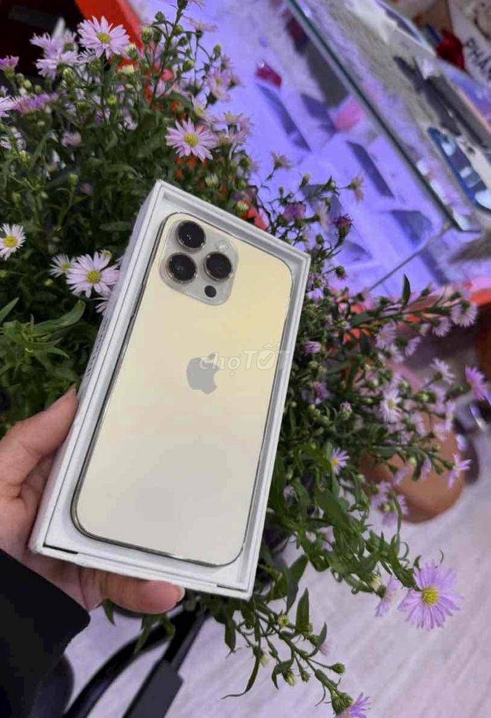 iphone14promax 1tb vàng qtế mỹ pin100 zin áp suất. Mua bán Điện thoại tại Quận 3 Tp Hồ Chí Minh được đăng bởi Nam Á Mobile hình 1