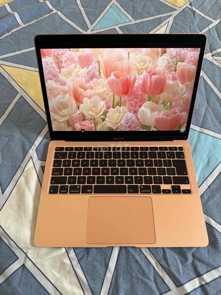 Macbook Air 2020 Core i3 8GB/256GB SSD. Mua bán Laptop tại Quận Cầu Giấy Hà Nội được đăng bởi Lê Trà hình 1