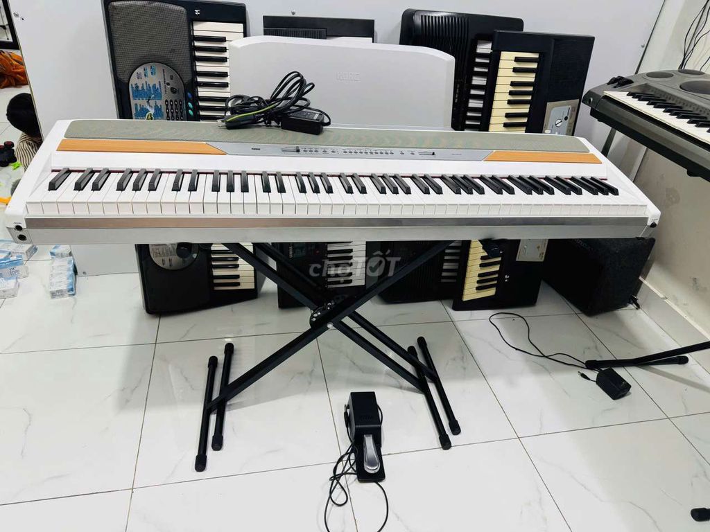 Piano điện Korg sp-250 giá rẻ