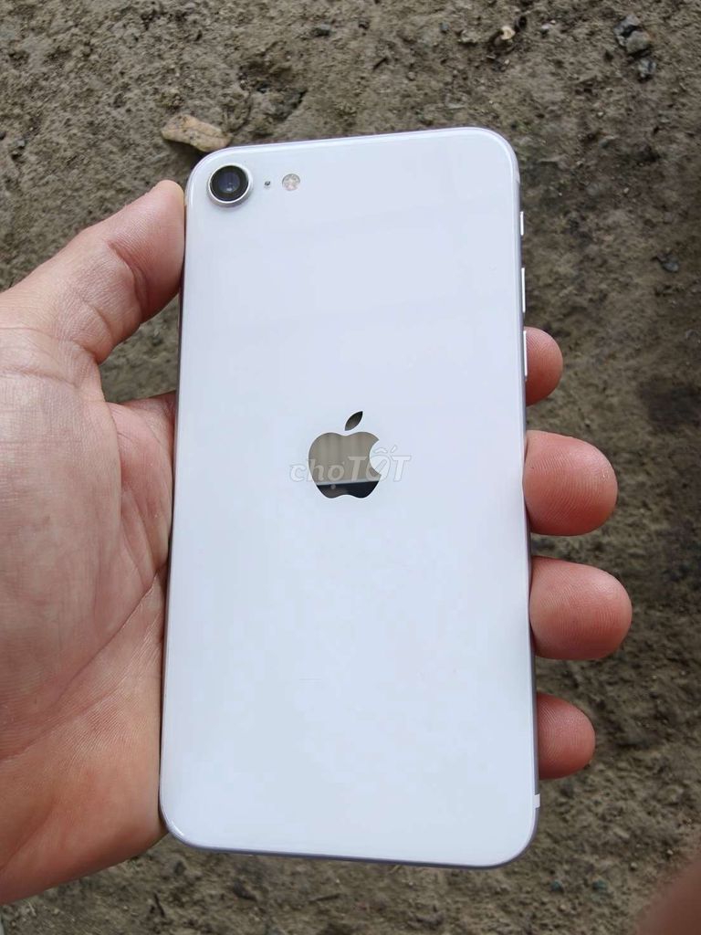 Apple iPhone SE 2020 64GB Trắng 81%. Mua bán Điện thoại tại Huyện Cam Lâm Khánh Hòa được đăng bởi Anh Tý Nông Dân hình 1