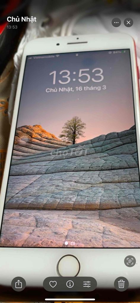 ip 7plus QT 128G đỏ