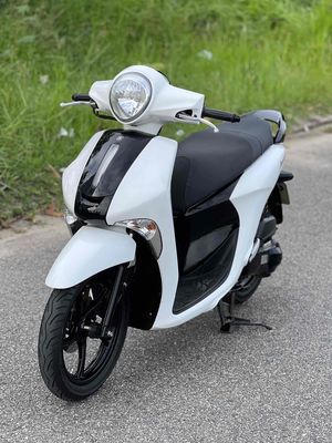 Janus 2017 biển 43 máy móc rin ngon chạy nhẹ tơn g. Mua bán Xe máy tại Quận Liên Chiểu Đà Nẵng được đăng bởi Nhật Tình