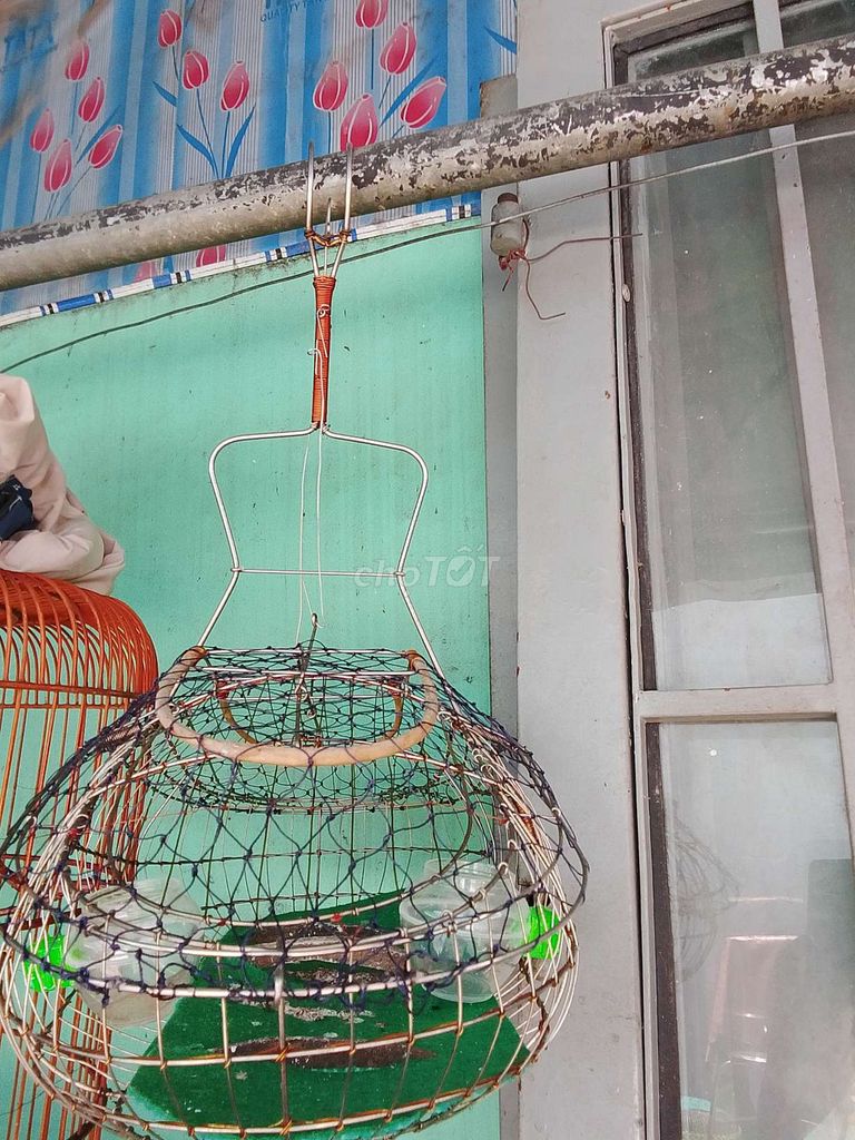 lụp Inox chim than hoặc chòe lửa. Mua bán Phụ kiện, Thức ăn, Dịch vụ tại Quận 6 Tp Hồ Chí Minh được đăng bởi Đặng Hoàng Tùng  hình 1