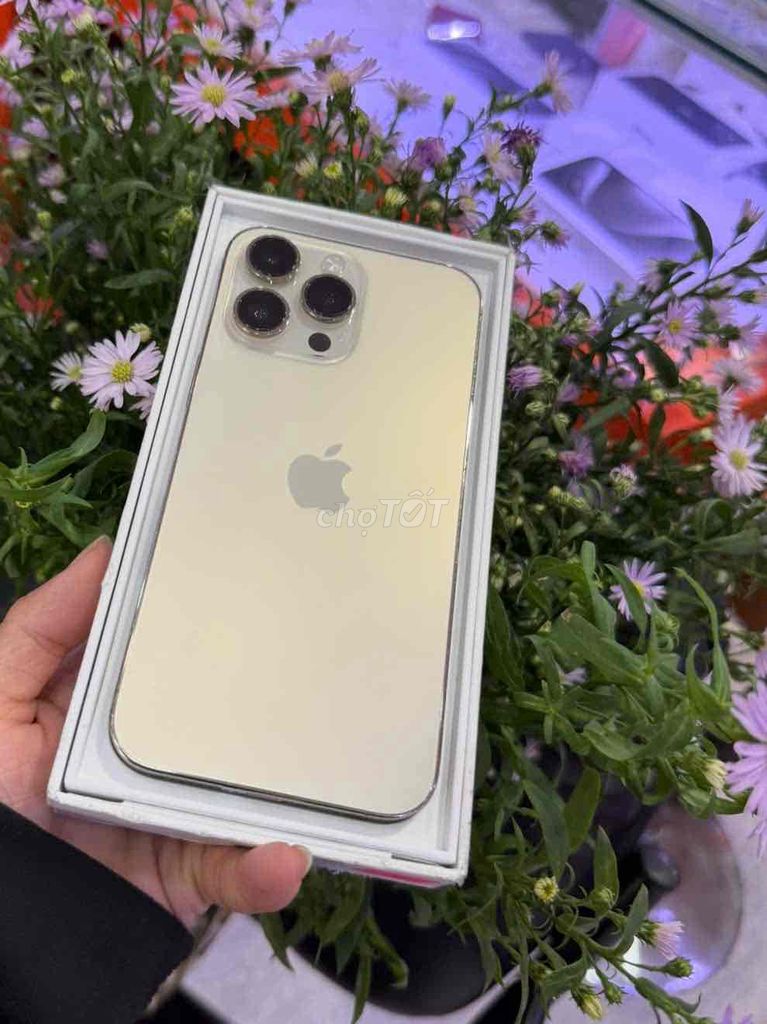 14 Pro max 512 gold QTế Mỹ pin 93%. Mua bán Điện thoại tại Quận 3 Tp Hồ Chí Minh được đăng bởi Nam Á Mobile hình 2