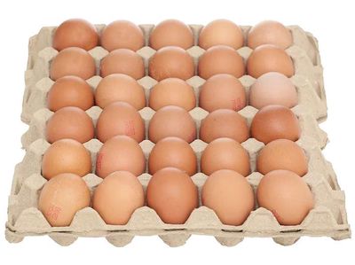 Vĩ trứng gà sạch 30 trứng