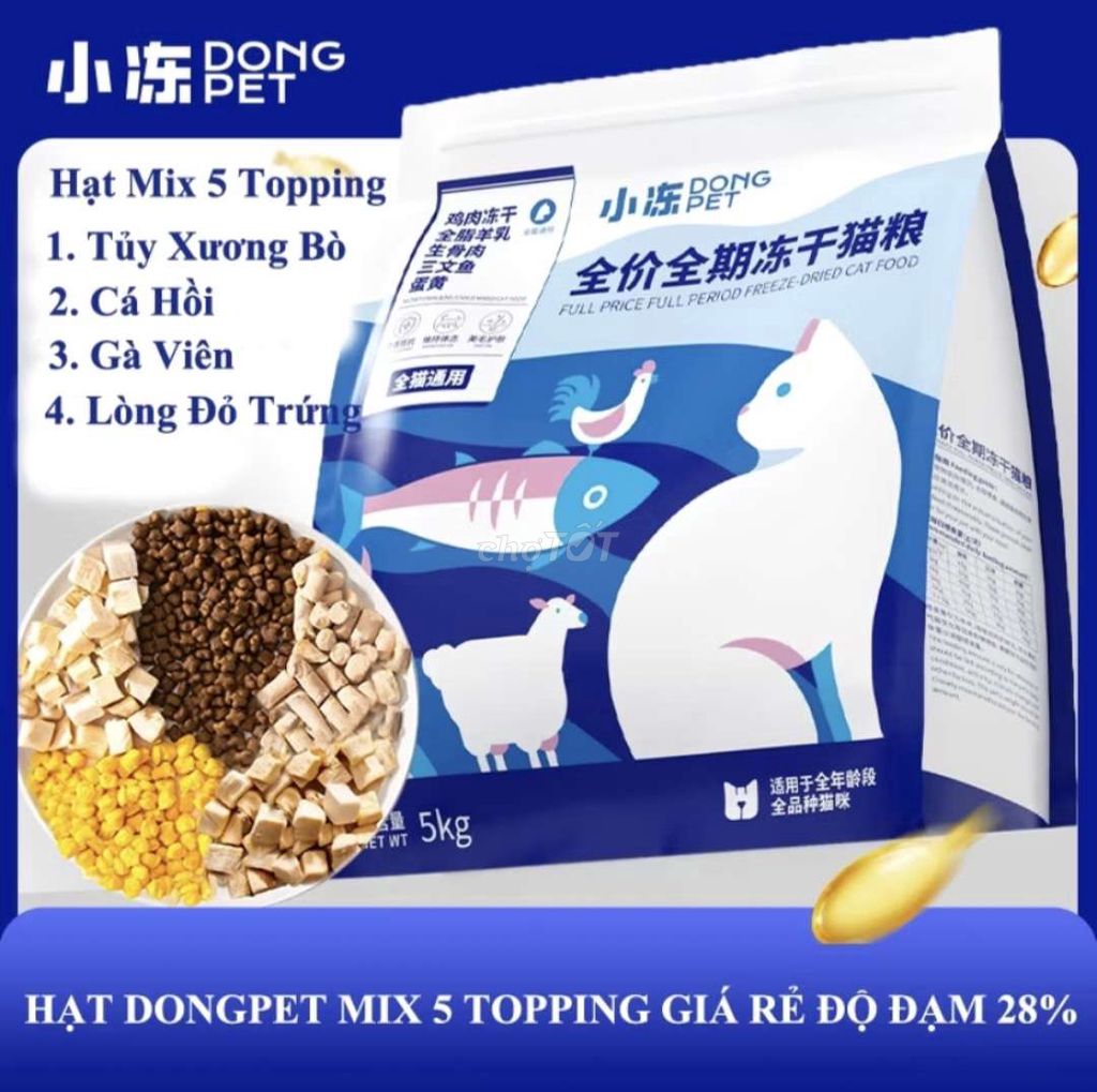 Hạt dongpet 5kg