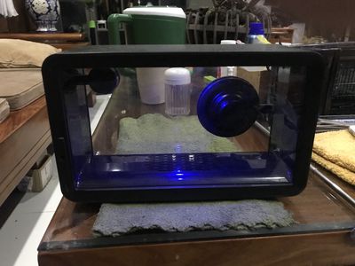 Loa Bluetooth. Mua bán Tivi, Âm thanh tại Thành phố Bạc Liêu Bạc Liêu được đăng bởi Michaelangelo Huy