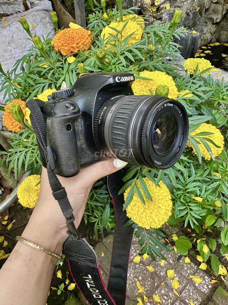 thanh lý Máy ảnh Canon 550D. Mua bán Máy ảnh, Máy quay tại Quận Bình Thuỷ Cần Thơ được đăng bởi Âm thanh xưa Cần Thơ hình 1