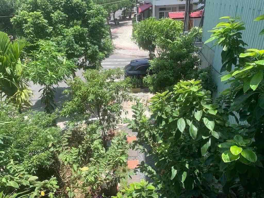 Cho thuê biệt thự đường Thanh Lương Hoà Xuân