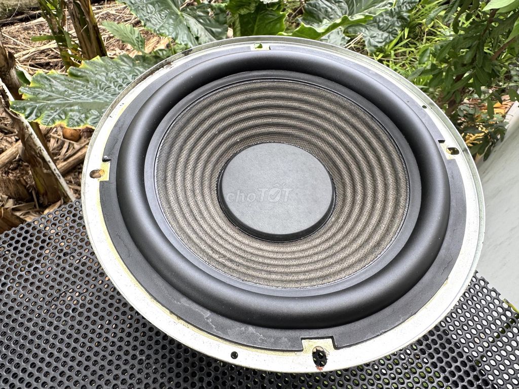 Bán 01 củ Sub SONY 20cm. Mua bán Tivi, Âm thanh tại Huyện Bình Chánh Tp Hồ Chí Minh được đăng bởi SU BÌNH ĐIỀN hình 1