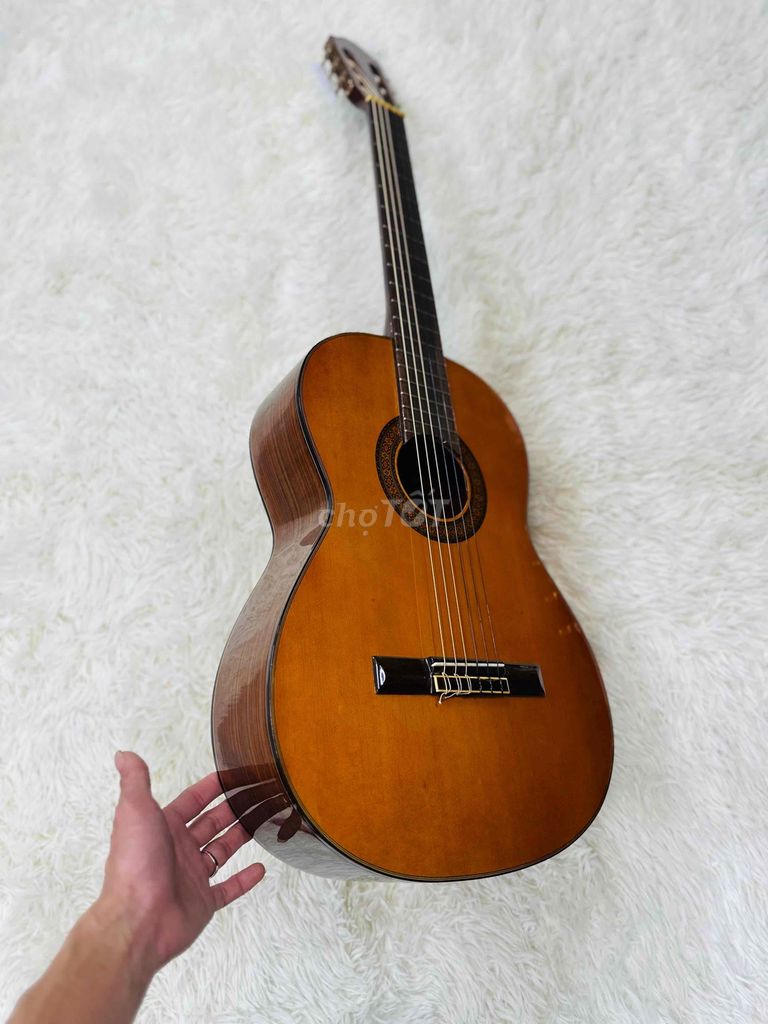 đàn guitar classic Morris MC-112