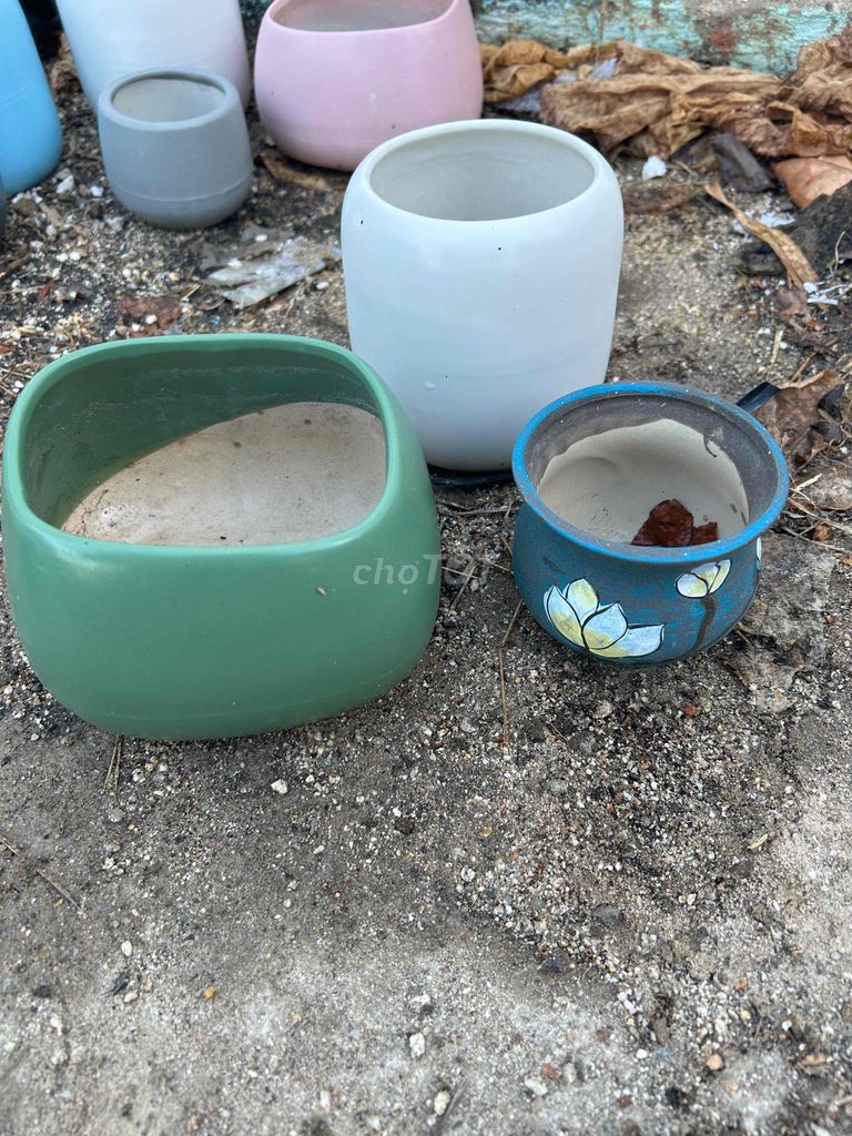 Chậu cây gốm sứ nhiều màu. Mua bán Cây cảnh, đồ trang trí tại Thành phố Phan Rang-Tháp Chàm Ninh Thuận được đăng bởi Nguyễn Hùng hình 1