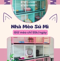 Sumeopetshop - Nhà Mèo Sú Mì