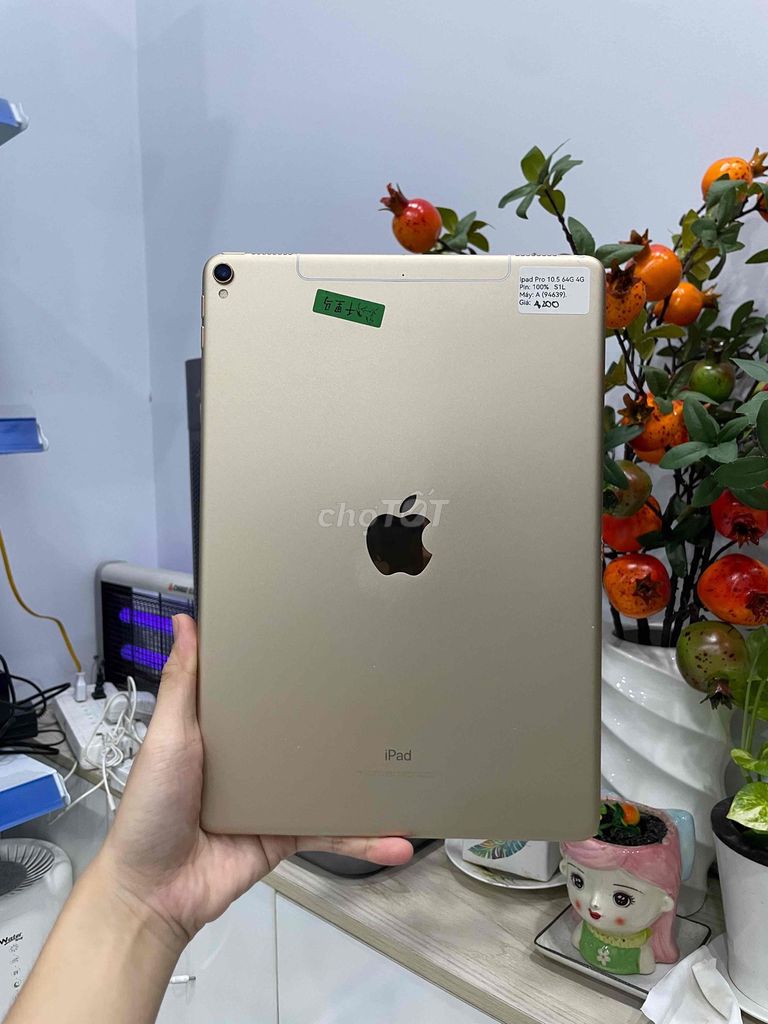 Apple iPad Pro 10.5 64GB Vàng gold 99%. Mua bán Máy tính bảng tại Huyện Hóc Môn Tp Hồ Chí Minh được đăng bởi Luân Hoài hình 1