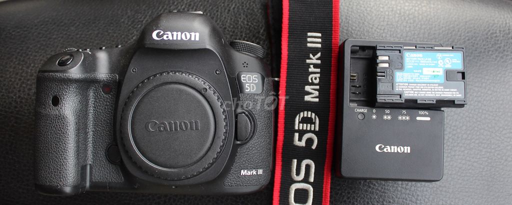 Canon 5DmarkIII & 50 1.4 usm new 99%