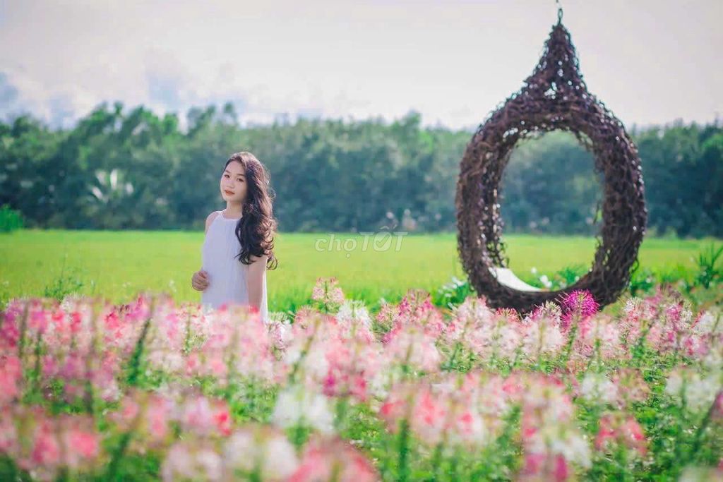 Cho thuê honestay 99k/1 căn. Dịch vụ tại Huyện Đức Linh Bình Thuận được đăng bởi hapham hình 1
