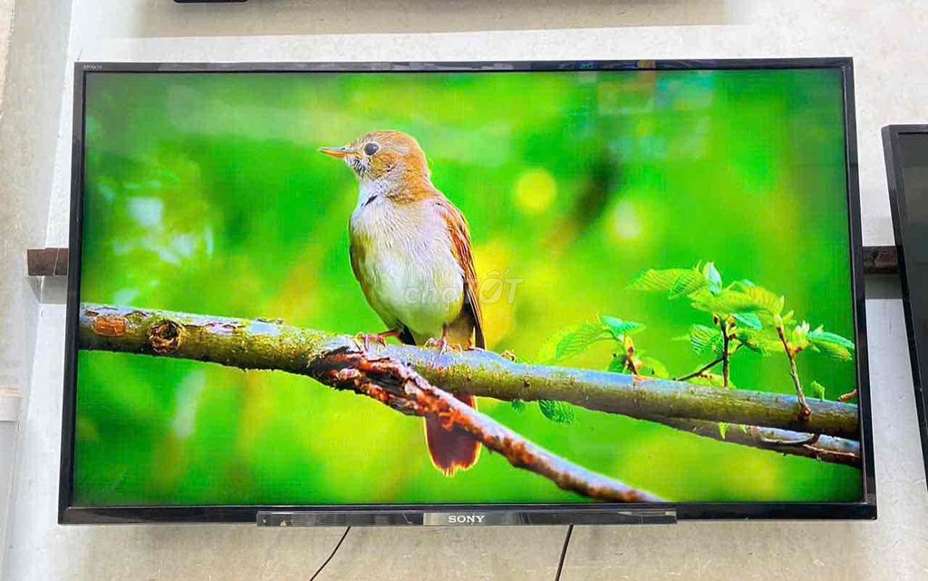 Tivi Sony 40 inch LED. Mua bán Tivi, Âm thanh tại Quận Hoàng Mai Hà Nội được đăng bởi Bảo Hiền hình 1