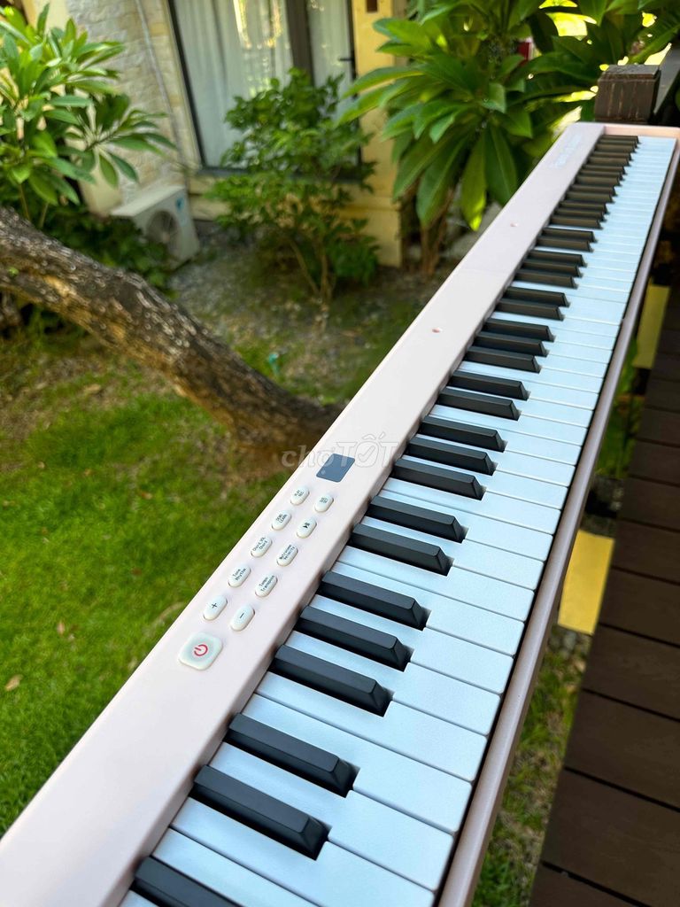 Piano Điện