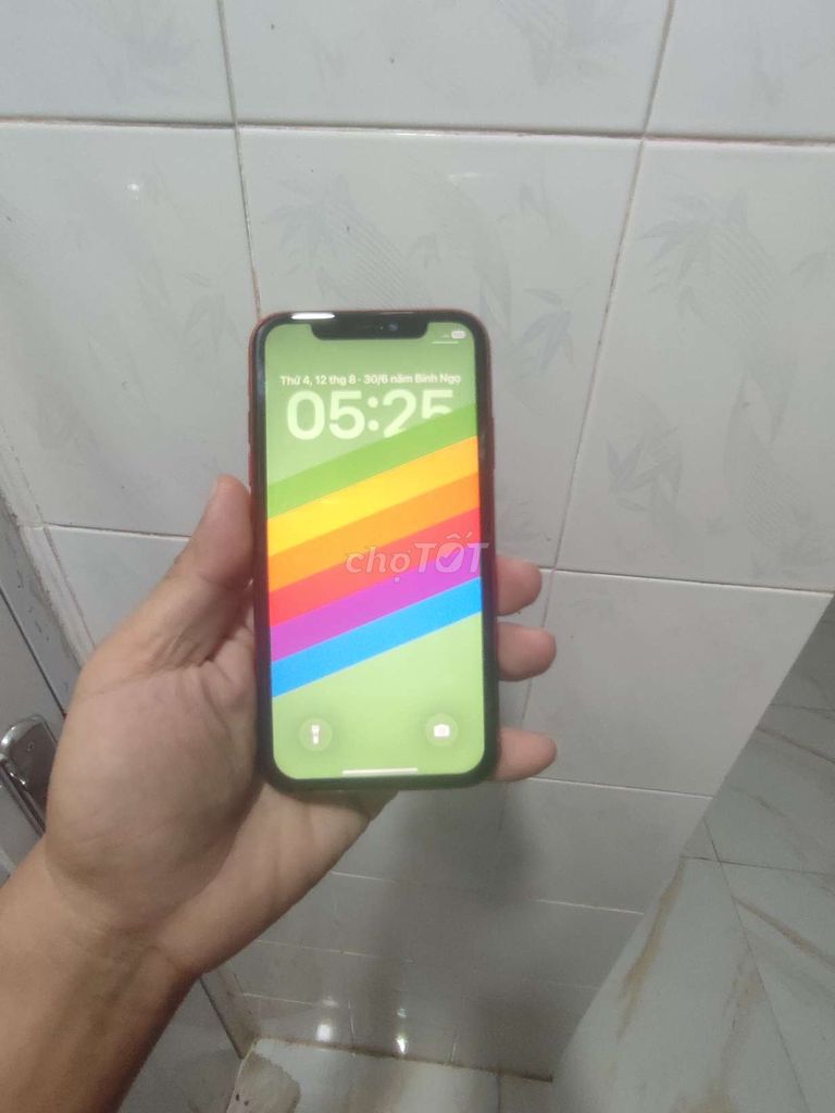 Apple iPhone 11 Đỏ, Quốc tế. Mua bán Điện thoại tại Huyện Thới Lai Cần Thơ được đăng bởi Bi hình 1