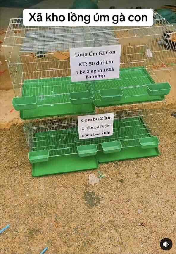 Lồng úm gà con kim loại 50x1m. Mua bán Phụ kiện, Thức ăn, Dịch vụ tại Huyện Thọ Xuân Thanh Hóa được đăng bởi Đinh Văn Tuấn hình 1