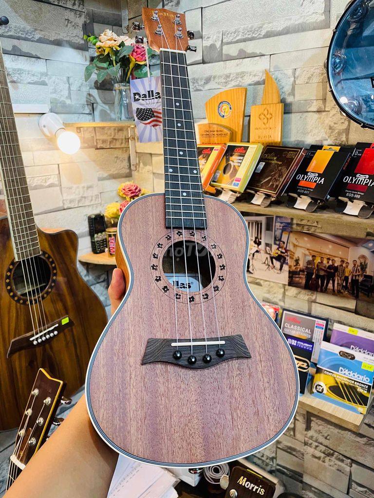 Đàn Ukulele Dallas giá rẻ