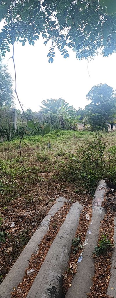 Đất Mặt tiền kênh - ảnh 5