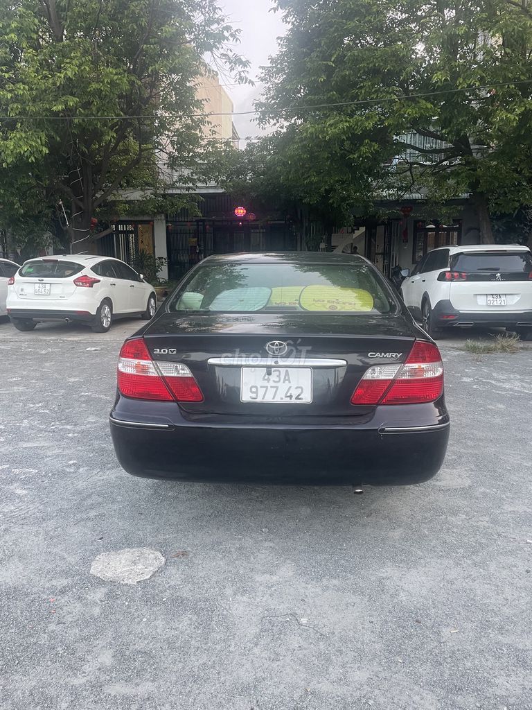 Ảnh số 5