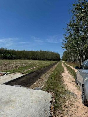 Ấp Cầu Trường, Châu Thành 400m2 full thổ cư