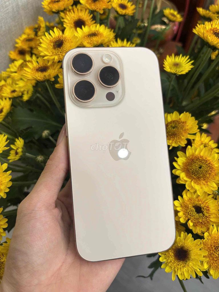 16 Pro 128GB Vn Pin 90 zin ốc đẹp 98% imei 2982828. Mua bán Điện thoại tại Quận Ninh Kiều Cần Thơ được đăng bởi Quý Mobile Cần thơ hình 1